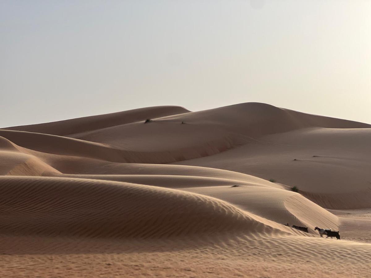 Thousand Stars Desert Camp Bidiya Экстерьер фото