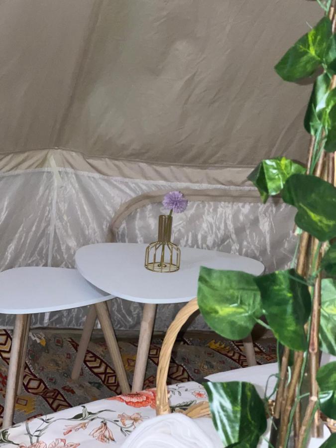 Thousand Stars Desert Camp Bidiya Экстерьер фото