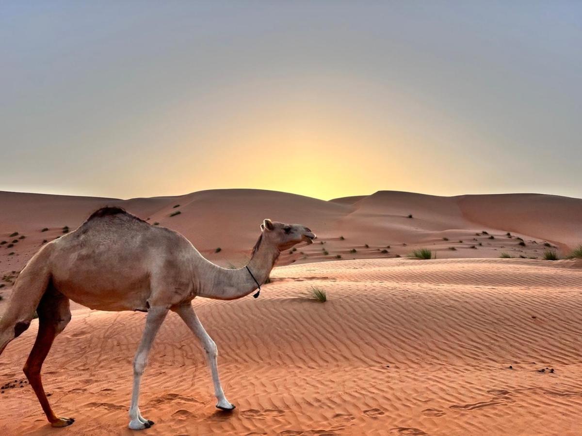 Thousand Stars Desert Camp Bidiya Экстерьер фото